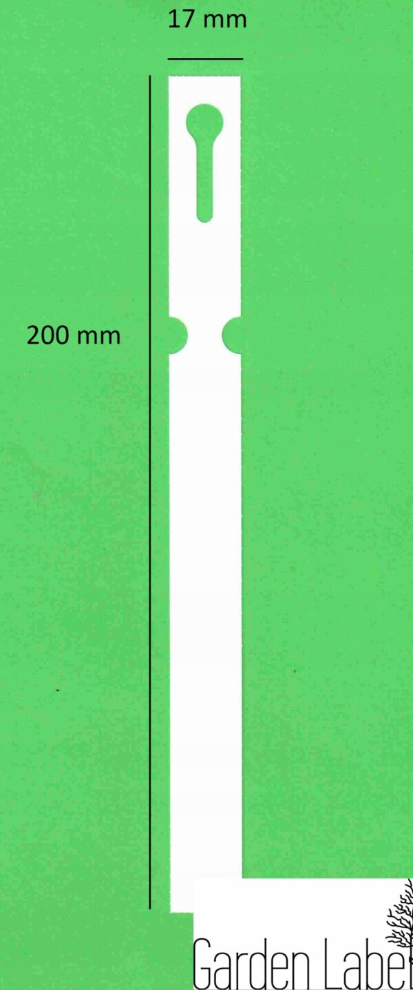 8a2dbcc209c7cd08708e072670e82bfb