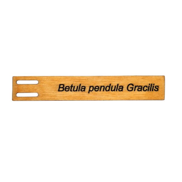 8571e13bf85fafe055672b1337034870