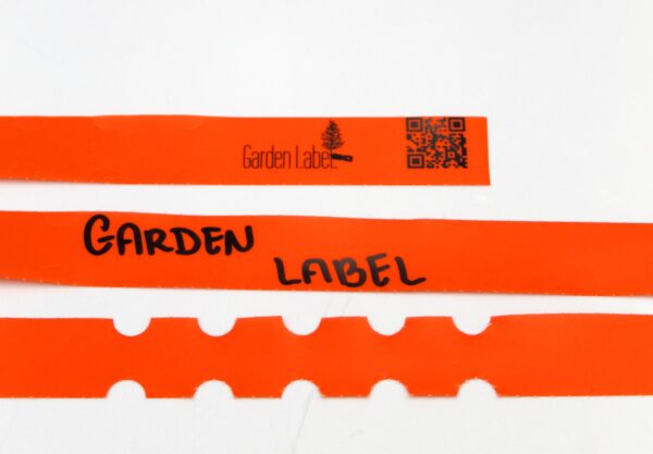 24fae340b75f2158762a60caf263ea55.jpg ccde8ee412d2687f8fa7b41860303ed4