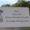 274c77d7ee3ae889a0fe1fc15f7bb153
