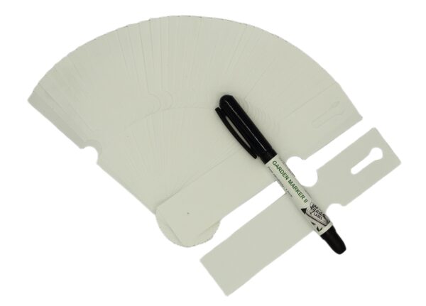 850fda52147a20c27f29535634c5897c