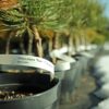 469d708ebb655bbdd8feaf67cbee5d00.jpg b1e1c3e840218f8b7cc5f33c4cfad0b8