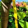 442c4a5713a00775c44eb8bff8e65c67