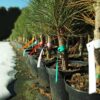 c1f8733712f0ee2bc4719db4de4b6e9c