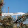 ae5d3e01befc8a8390a9fbe86a0bac2f.jpg a15197199fc8827fc4695ff5ff5a85c9