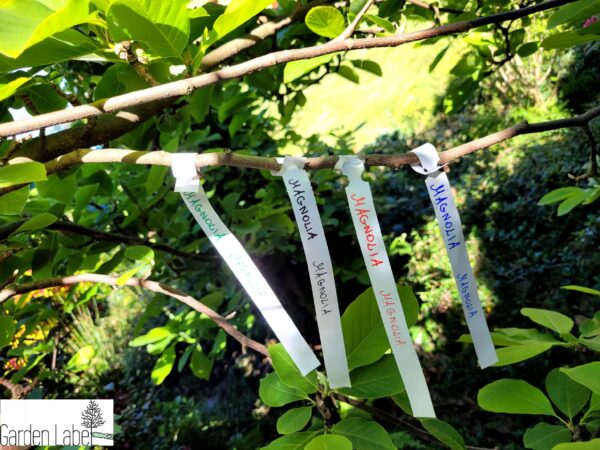 b1537dcc88c9ce4c085eb3417bc6a5ac.jpg b668a155f30b3de09bd37567ec466c82