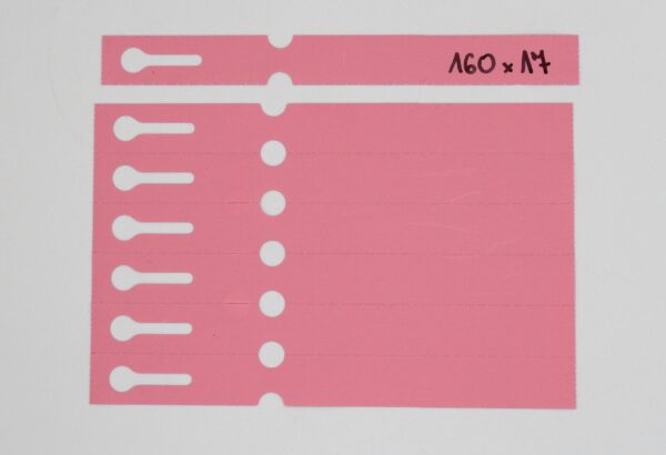 728d6dd4fccec2c1fec8222520f898a2