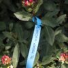 7a8a2ba8203394c3c2dbda81bfbfa6dc