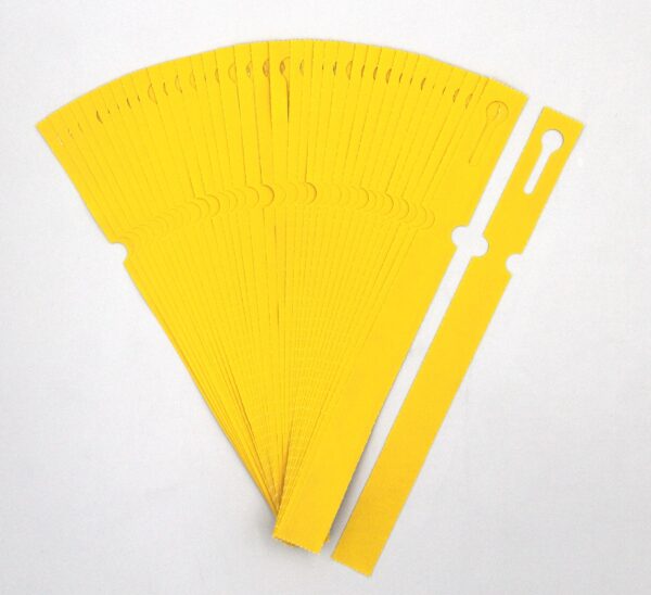 1cd164889b127afe2337288f4a54c184